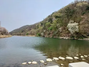 은퇴 후 주택 활용 전월세 임대 운영 세무 처리_13