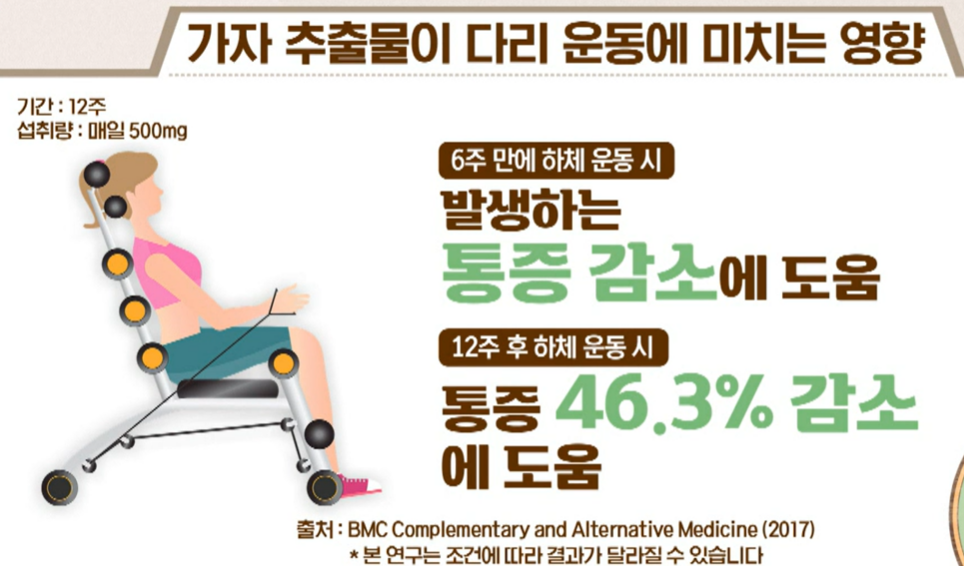 가자추출물 효능