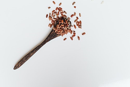 결론, 생쌀 먹어도 안전할까?