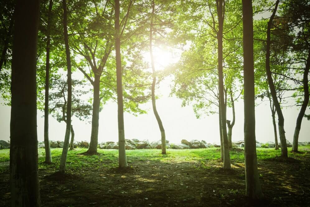 숲나들e 국립자연휴양림 예약방법 예약변경 및 예약취소