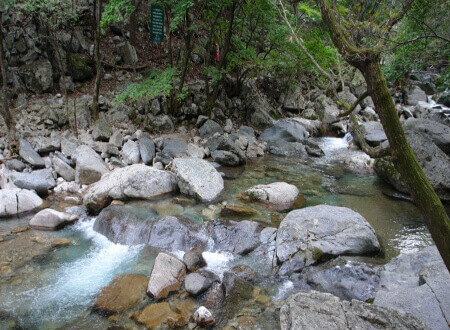 유명산 자연휴양림 계곡_1
