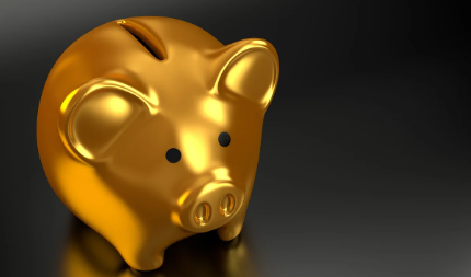 고흥-민생지원금