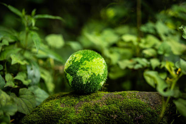 제로웨이스트 여행법
