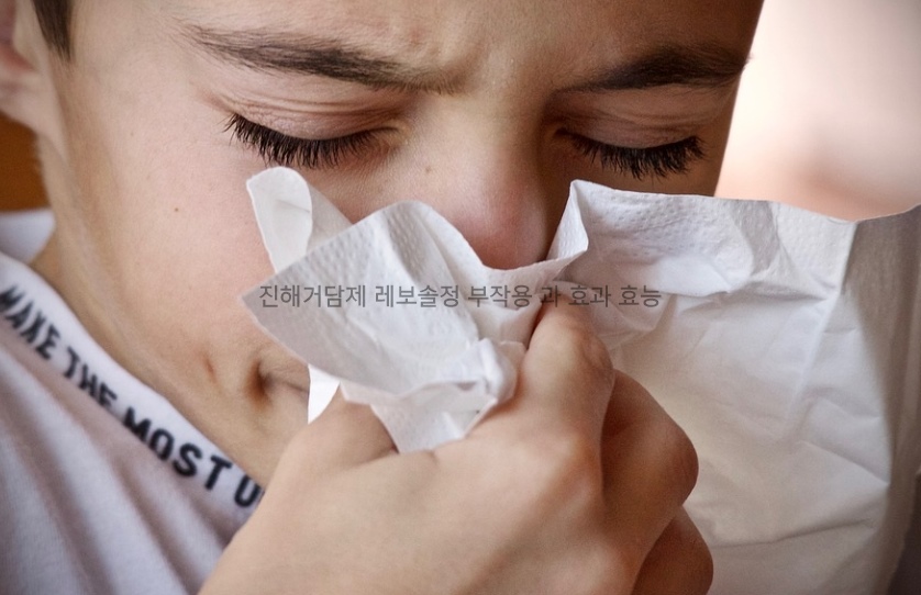 진해거담제 레보솔정 부작용 과 효과 효능