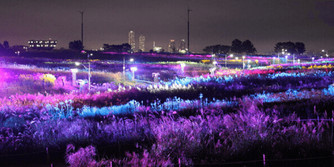서울-하늘공원-억새축제-가는길.주차.일정안내-사진명소-사진맛집-총정리