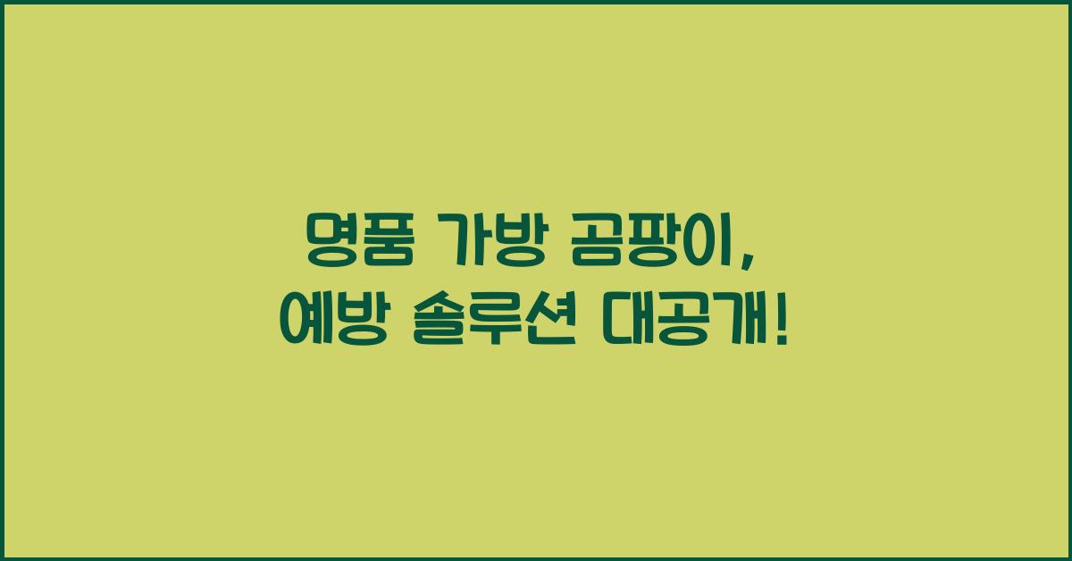 명품 가방 곰팡이