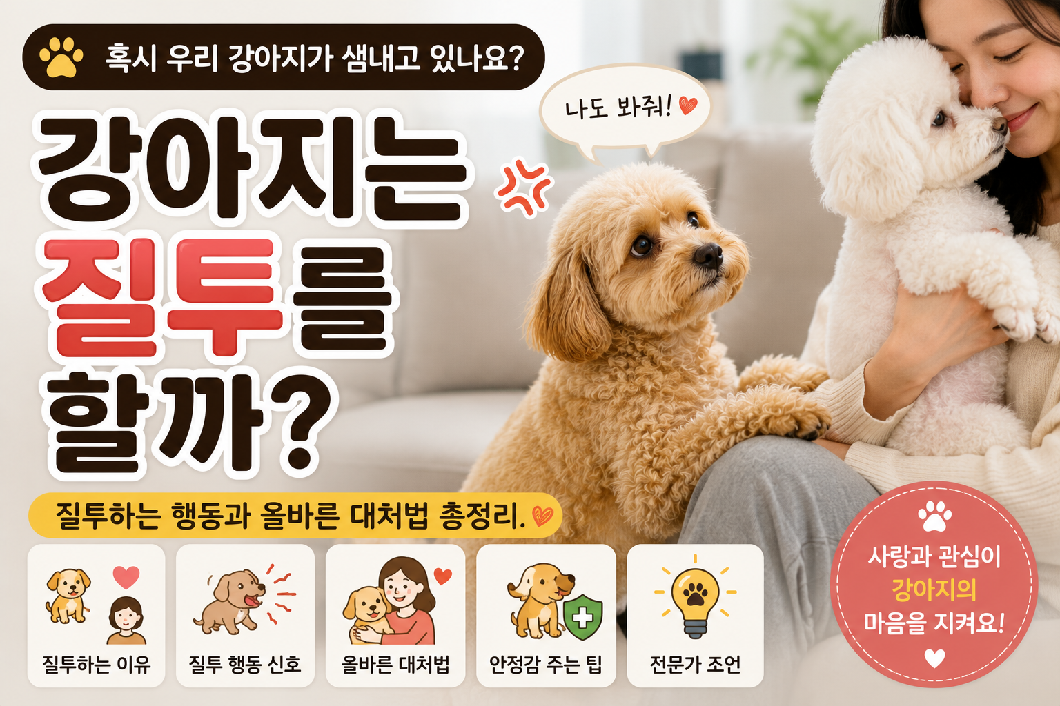 강아지는 질투를 할까?|반려견이 질투하는 행동과 올바른 대처법