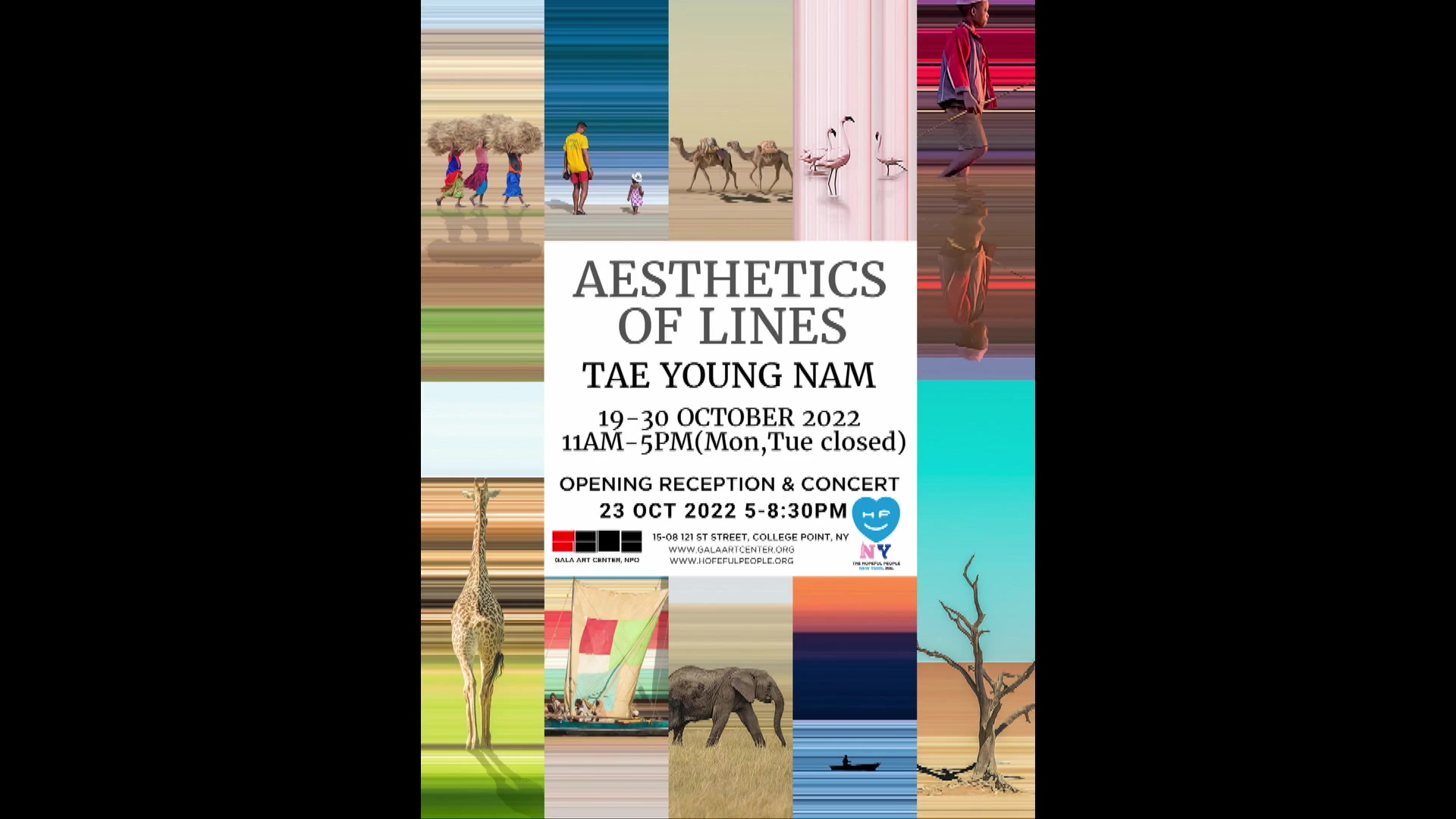 AESTHETICS OF LINES TAE YOUNG NAM