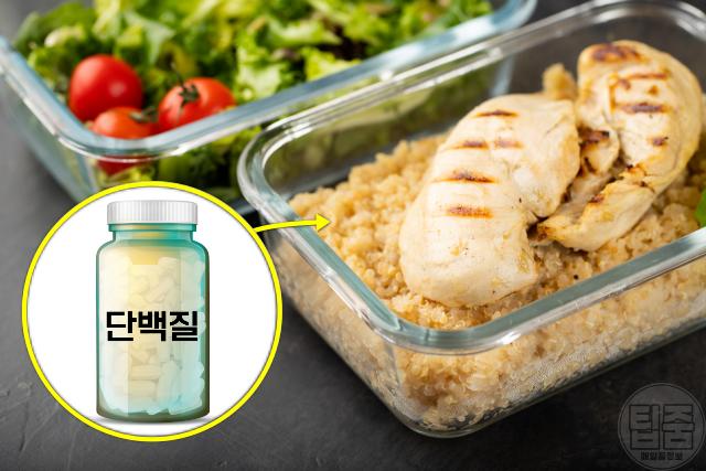 입병에 좋은 영양제 음식 단백질