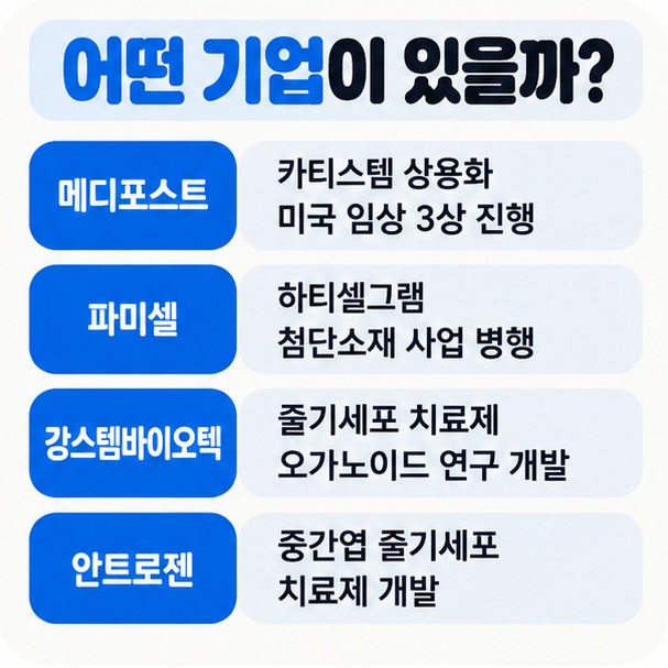 메디포스트 파미셀 강스템바이오텍 안트로젠의 줄기세포 치료제 상용화 임상 연구개발 연결점을 비교한 이미지
