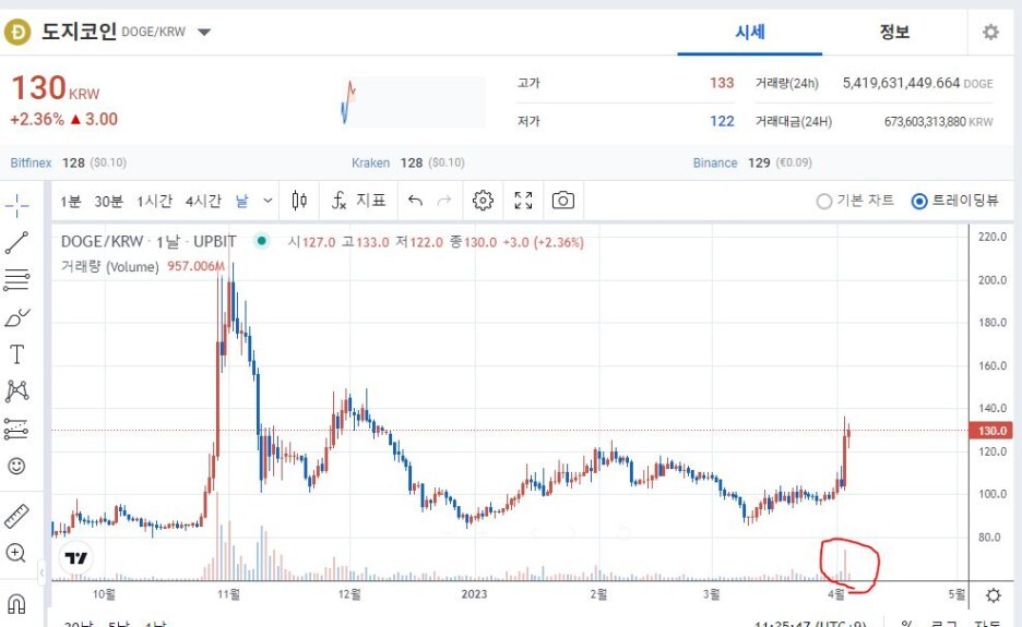 업비트 도지코인