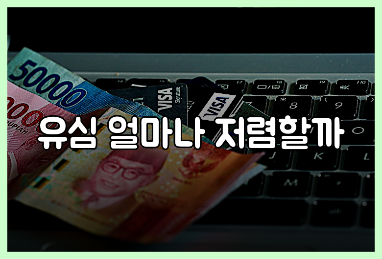 유심 얼마나 저렴할까