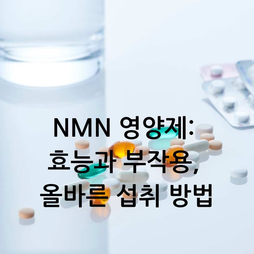 NMN영양제