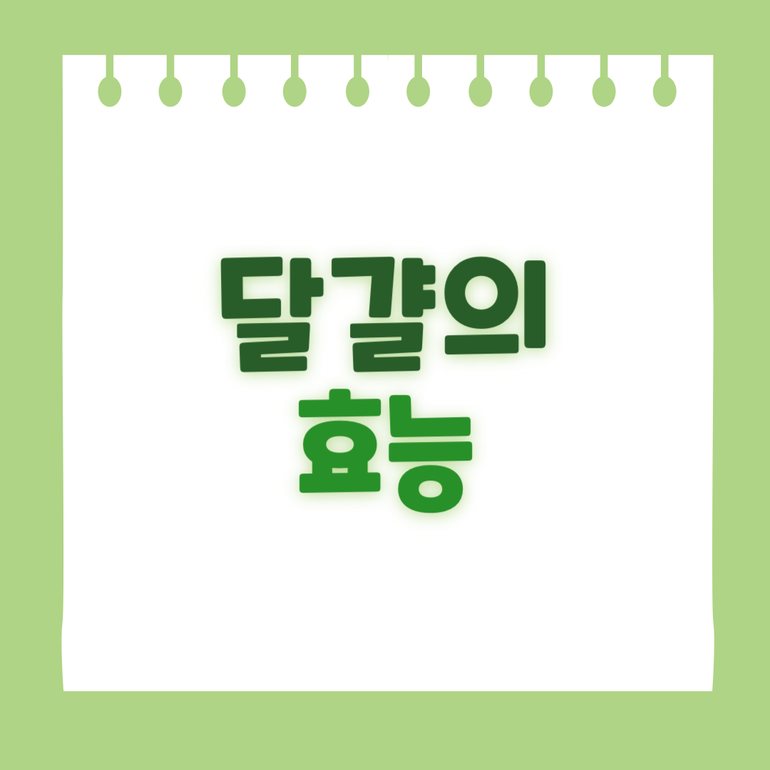 달걀의 효능