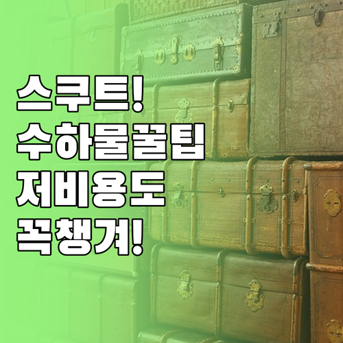 스쿠트 저비용 항공 위탁수하물 미리 ..