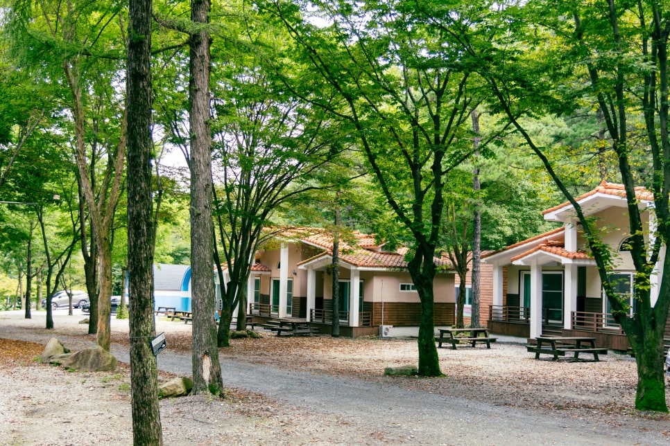 완주 고산자연휴양림 숙박