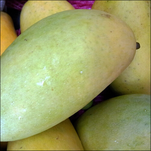 그린 망고들이 쌓여있는 모습