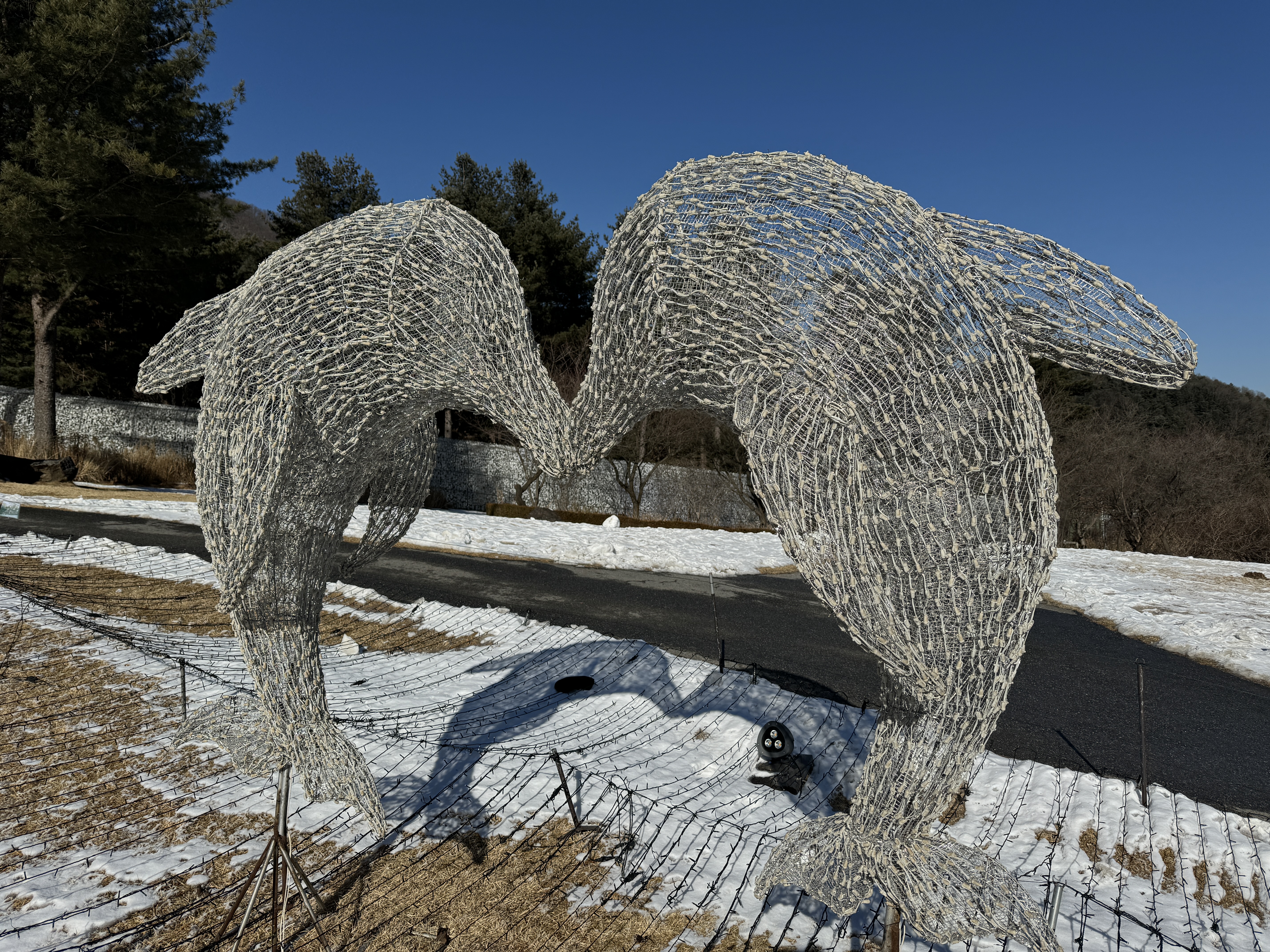 아침고요수목원