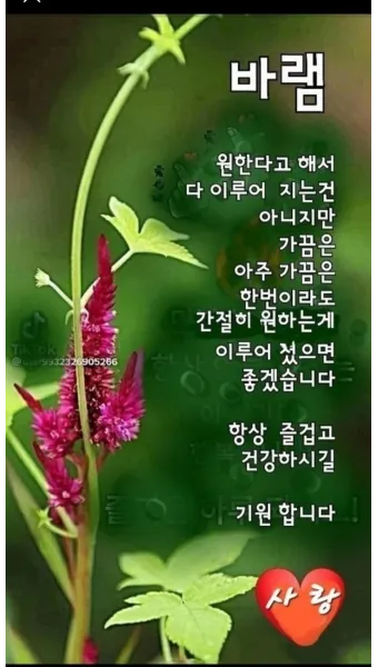 아침 인사 문자 날씨 변화에 맞춘 안부 문장 하루를 여는 표현_2