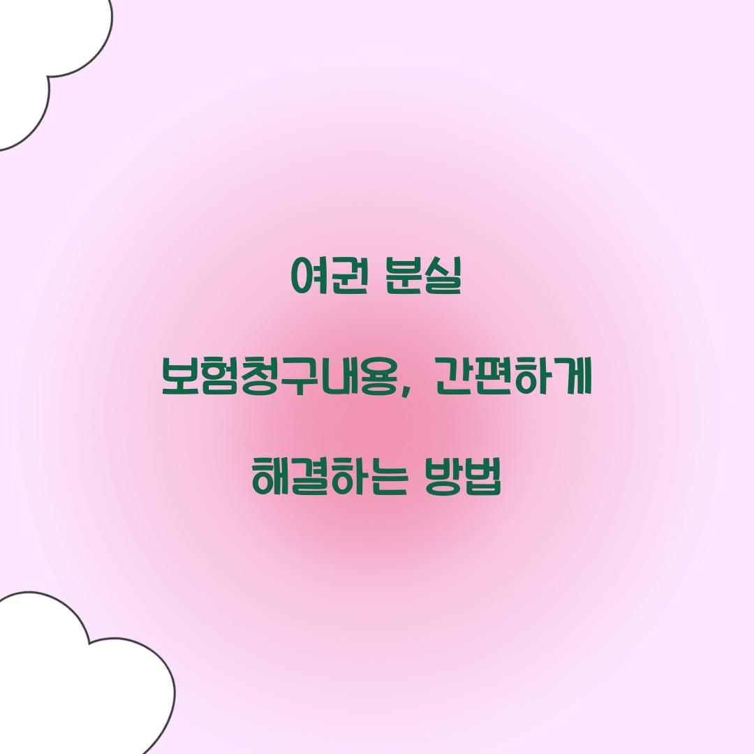 여권 분실 보험청구내용