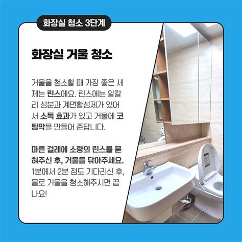 화장실 벌레 퇴치 방법