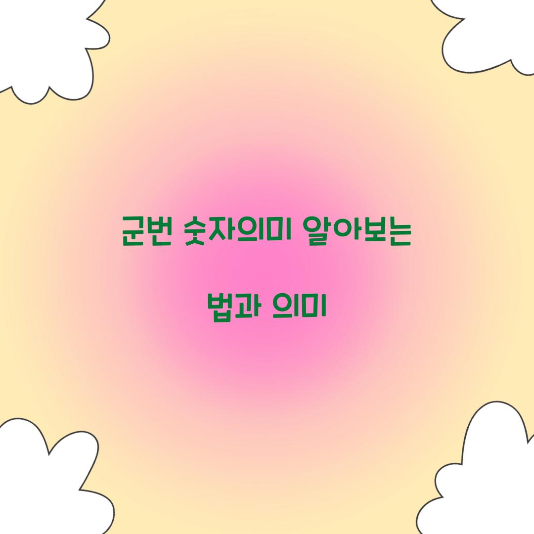 군번 숫자의미