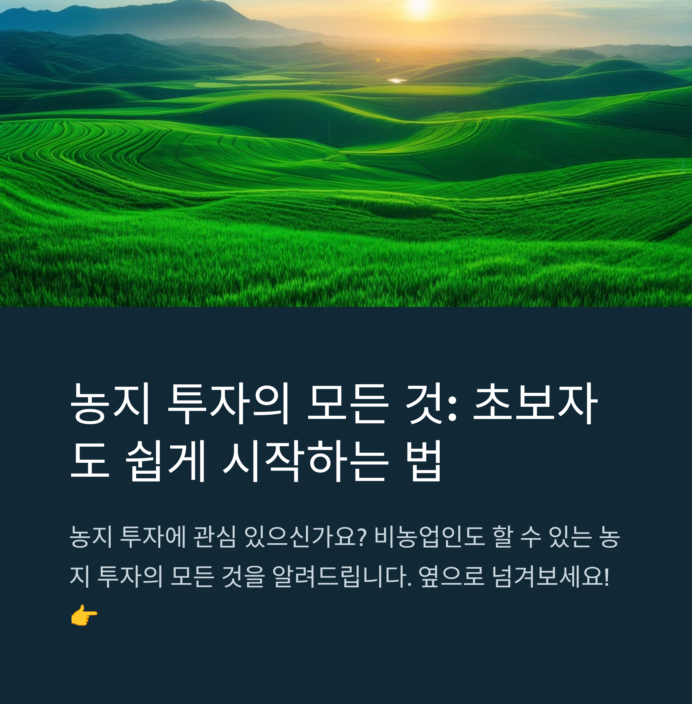 농지투자 모든것