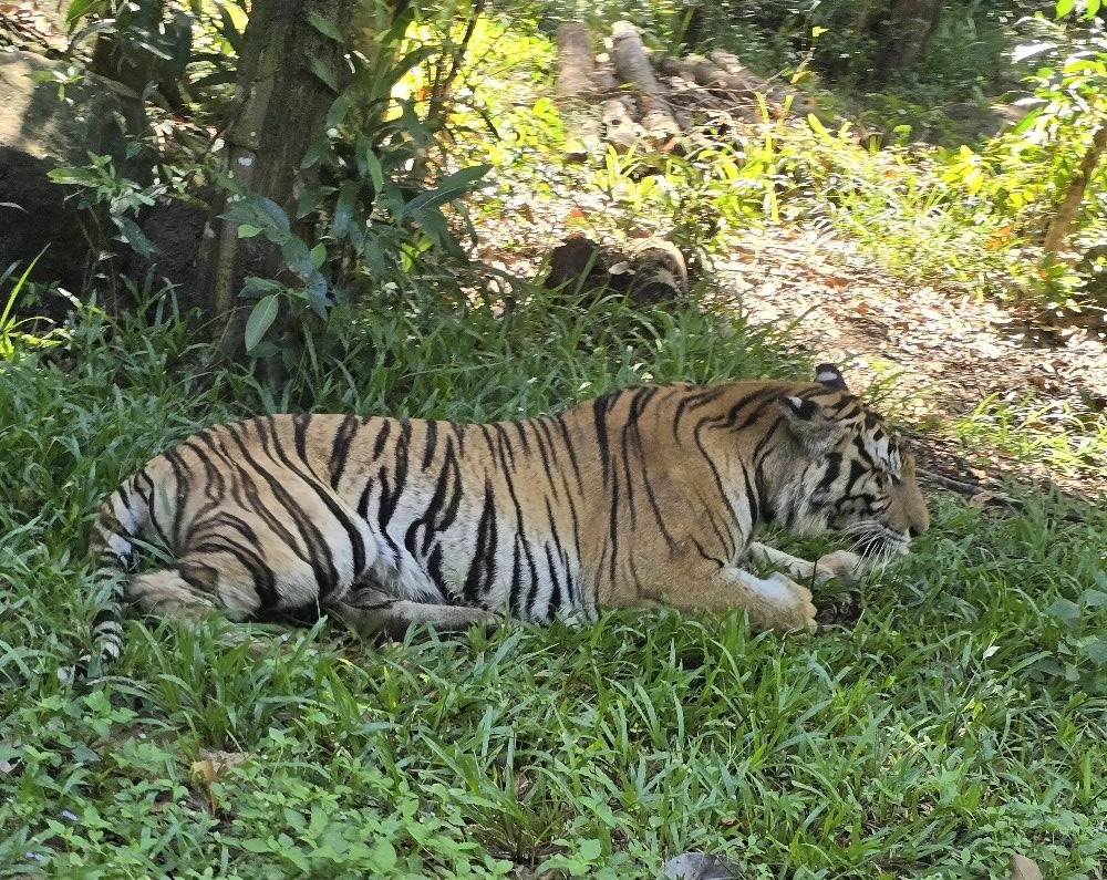 푸꾸옥 자유여행 세째날
