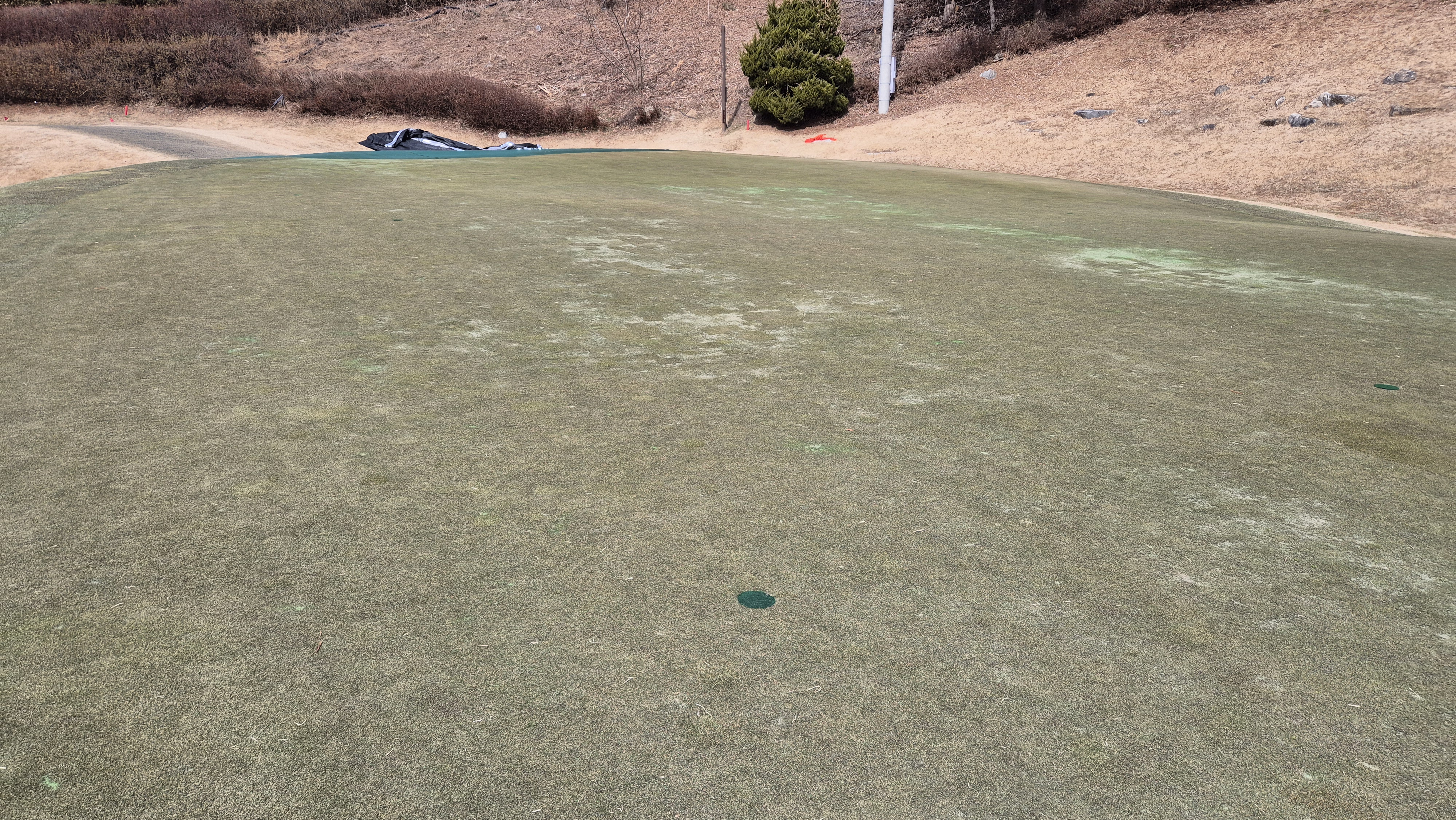 코리아cc 크리크-레이크 코스 그린 관리 상태