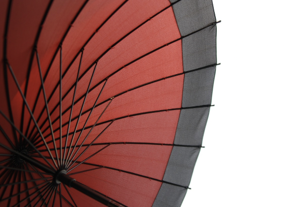 비 오는 날이 반가운 사람 &ndash; 우산 테스트 전문가