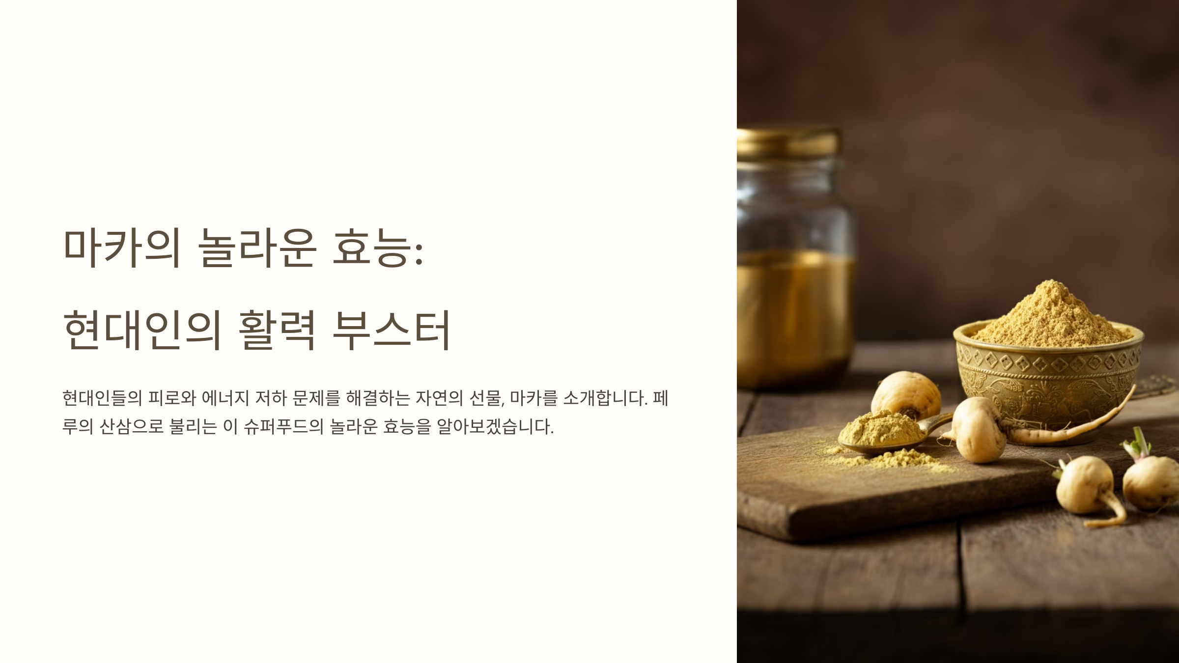 마카 효능 총정리! 활력과 스테미너를 위한 슈퍼푸드