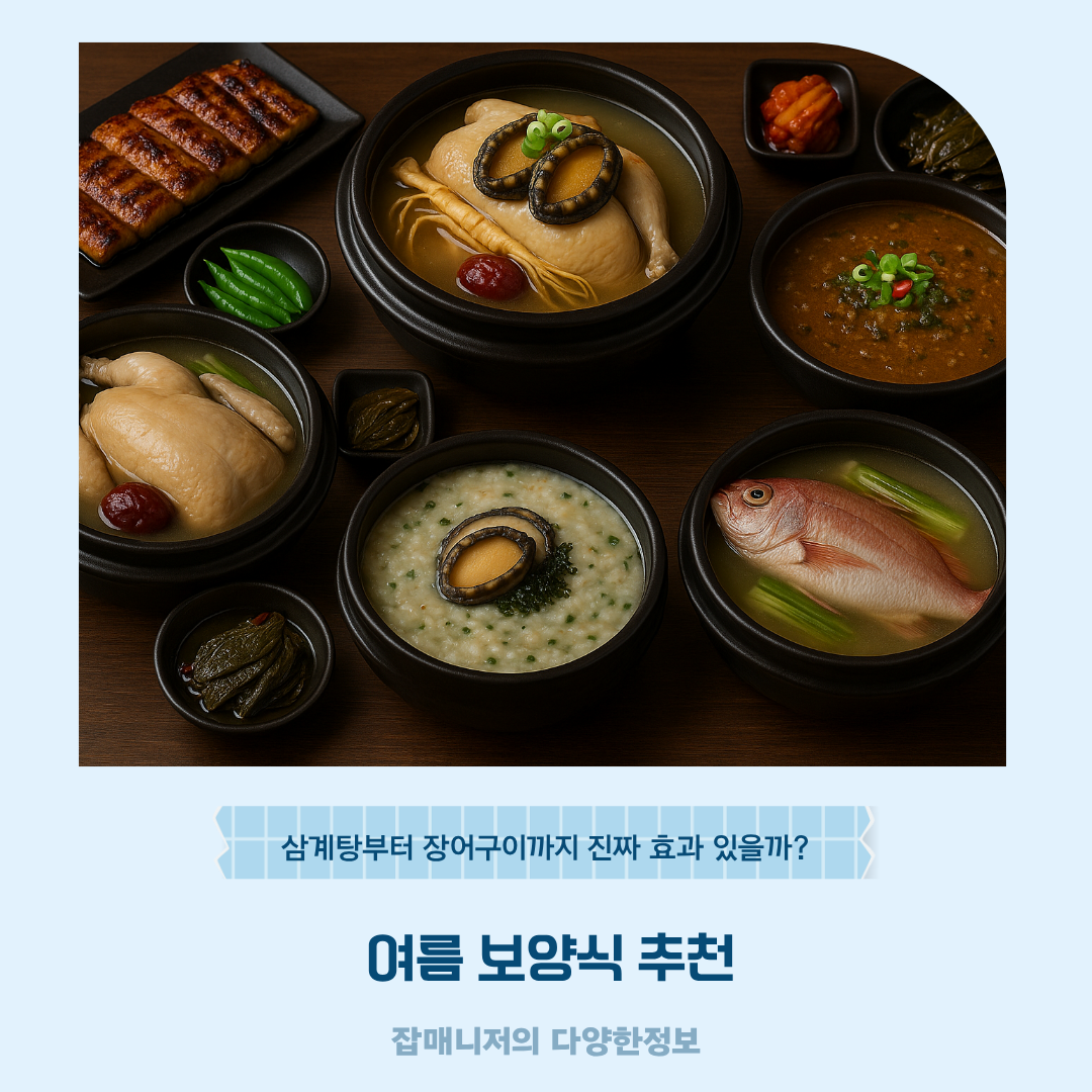 여름 보양식 추천, 삼계탕부터 장어구이까지 진짜 효과 있을까?