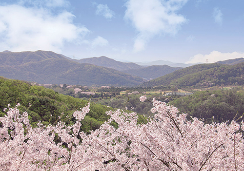 화담숲