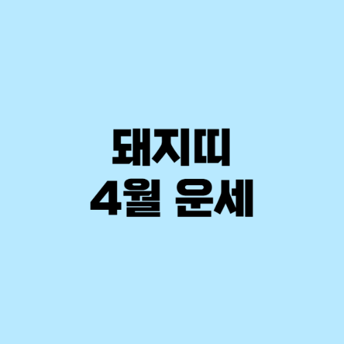 돼지띠 운세