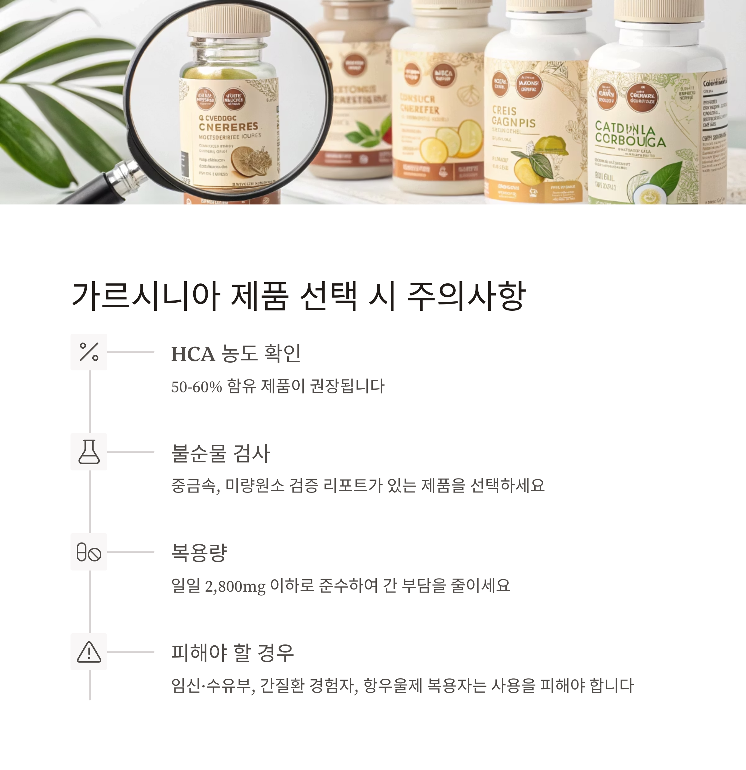 가르시니아 다이어트