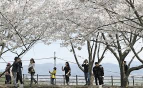 강진 여행 후기, 반값여행