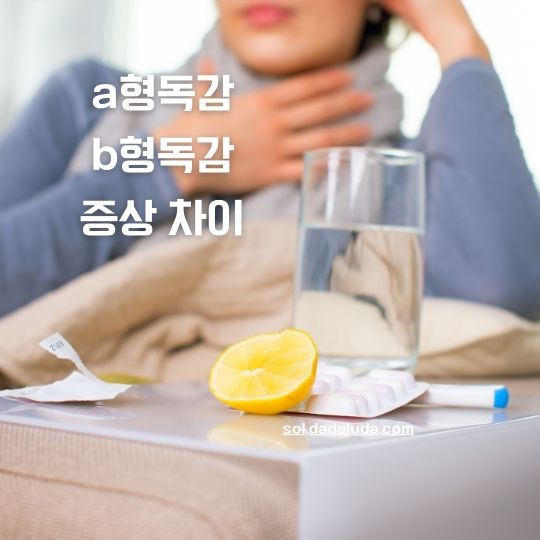a형독감 b형독감 증상 차이 격리기간 