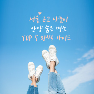 서울 근교에 이런 곳이? 안양의 숨은 명소 TOP 5 완벽 가이드
