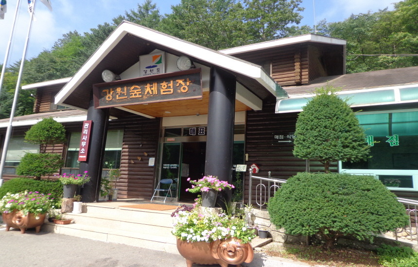 강원도 양구 강원숲체험장 숙소 계곡 물놀이 할인 날씨 정보