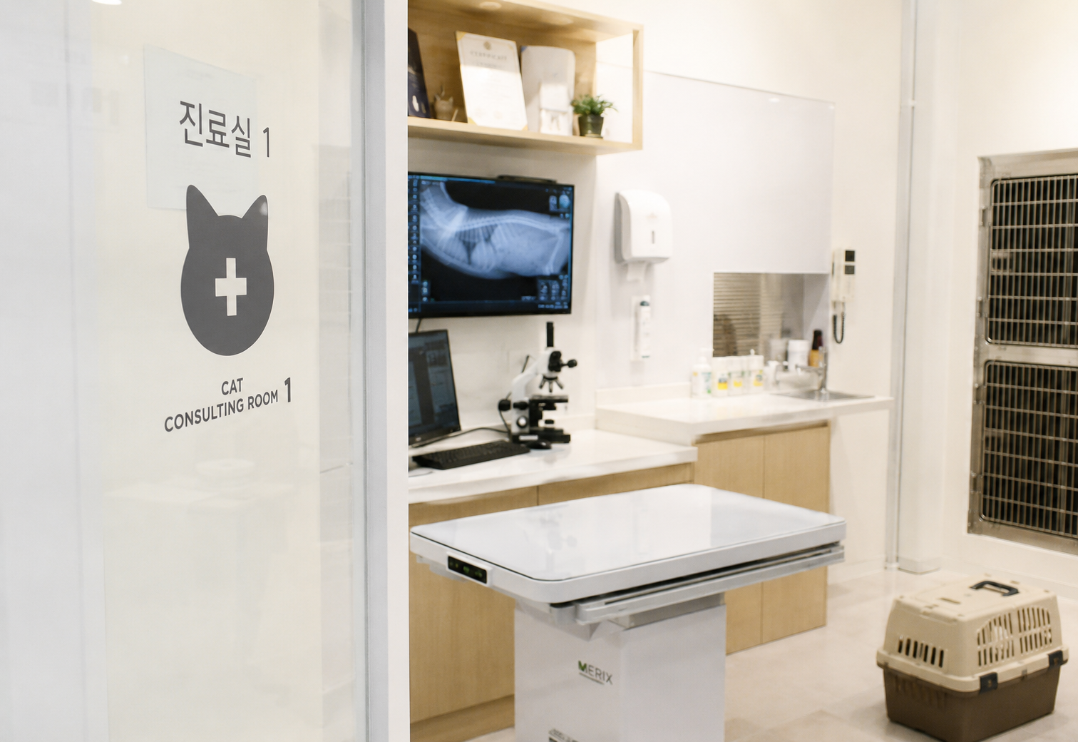 놓치기 쉬운 고양이 심장질환들