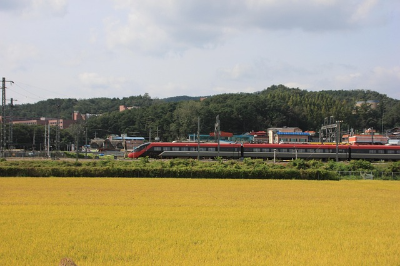 2025 SRT 추석 기차표 예매