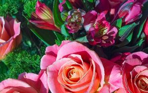 고백데이 날짜 총정리