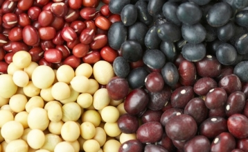 시니어 근력 유지에 좋은 식품 총정리