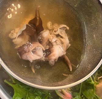 신선한-새조개