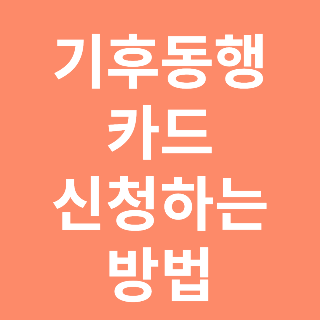 기후동행카드 신청하는 방법