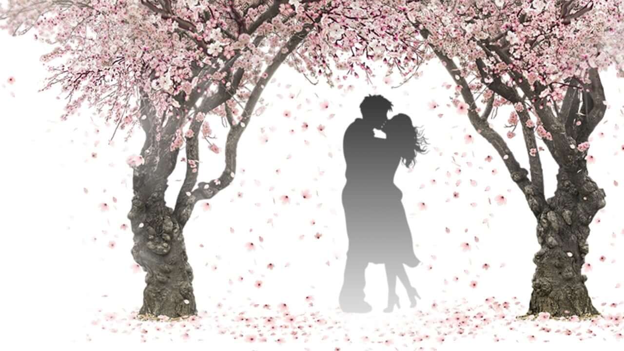키스하는 꿈 해몽
