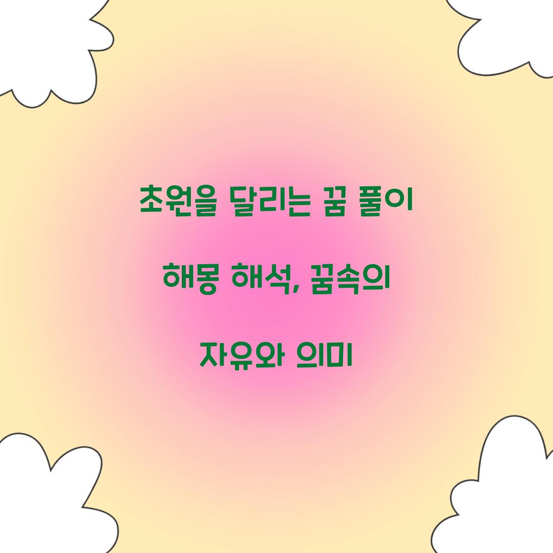 초원을 달리는 꿈 풀이 해몽 해석