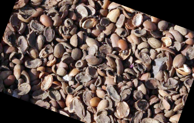 아르간 오일 먹는법