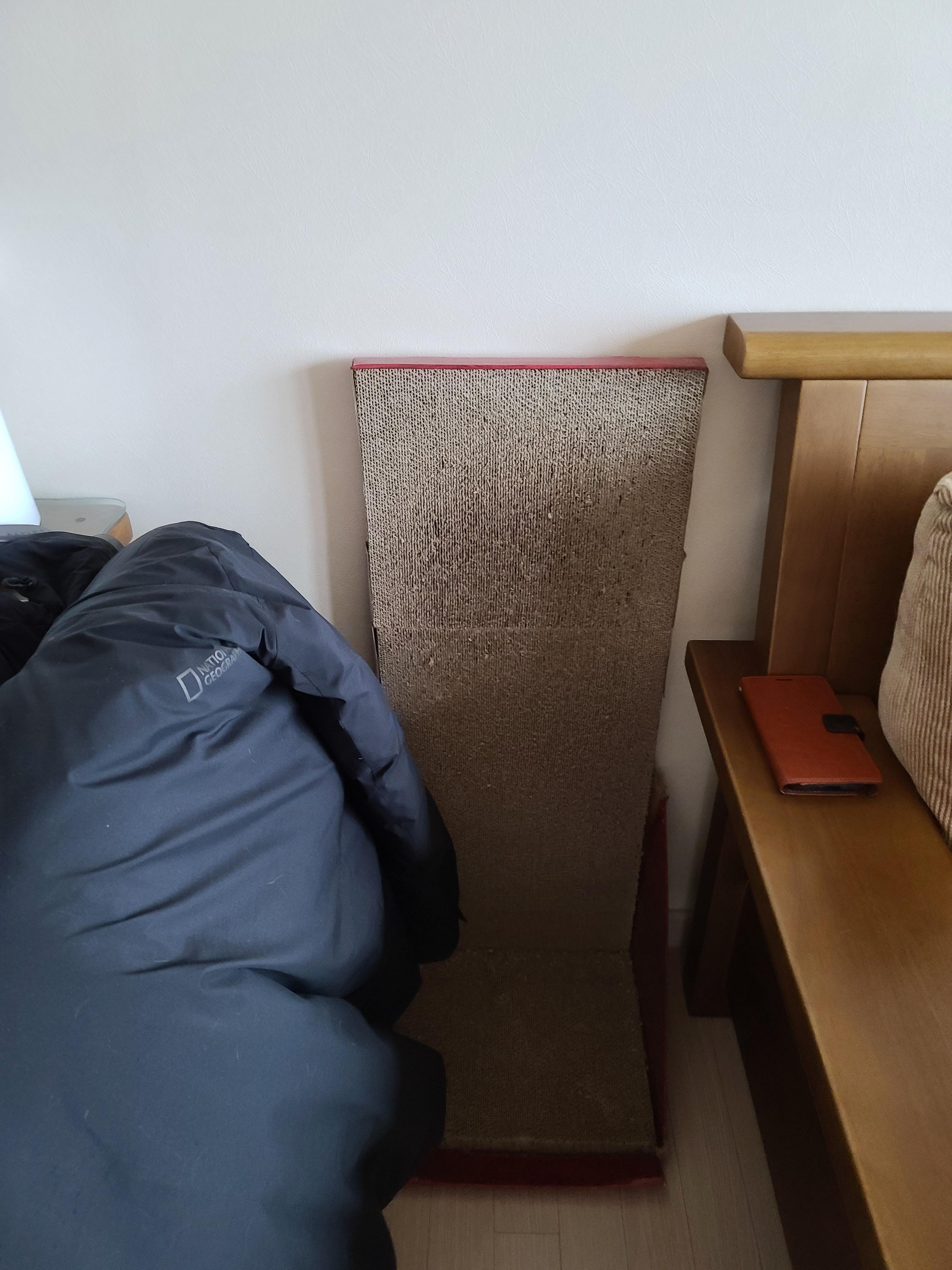 집사가 사준 스크래쳐를 잘 써주는 고양이들. 고양이들에게 스크래쳐가 꼭 필요한 이유.