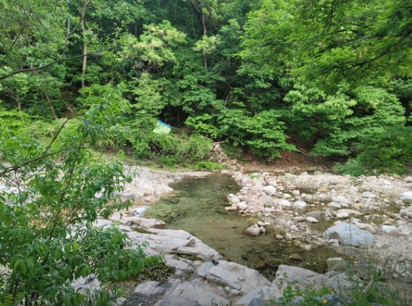 시원한 여름휴가&amp;#44; 안양 삼막사 계곡으로 떠나보세요!